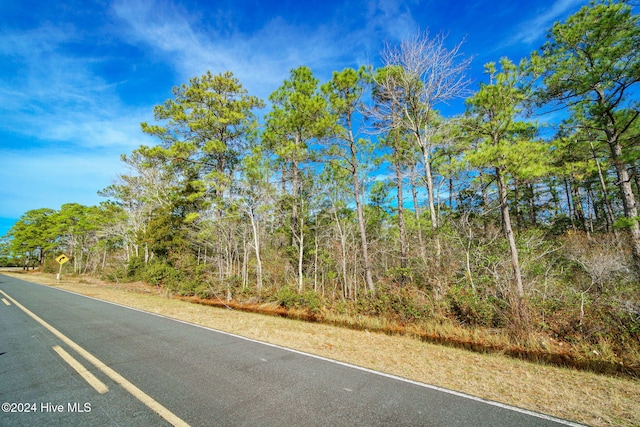 966 Old Cedar Island Rd, Atlantic NC, 28511 land for sale