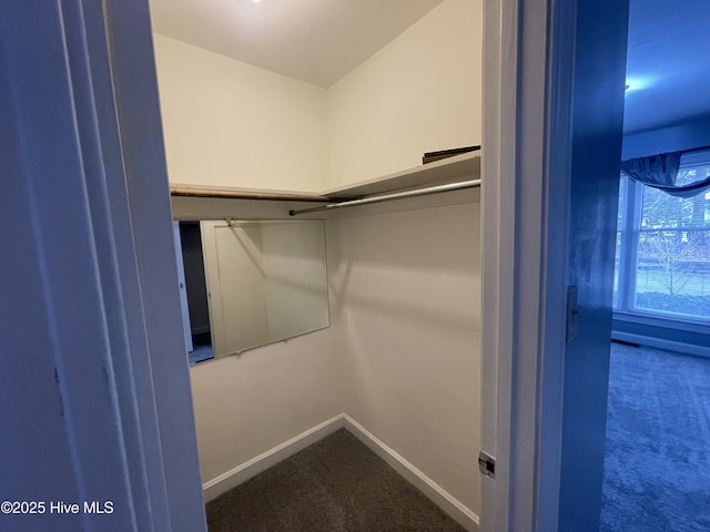 walk in closet featuring carpet flooring