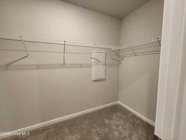 spacious closet with electric panel and carpet floors