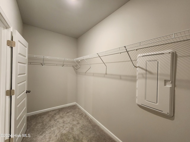 spacious closet with carpet flooring