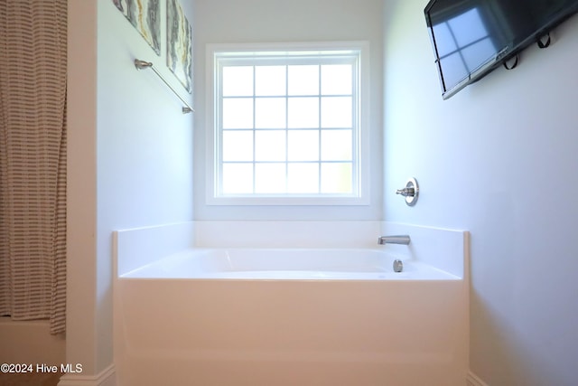 bathroom with a bathing tub and a wealth of natural light