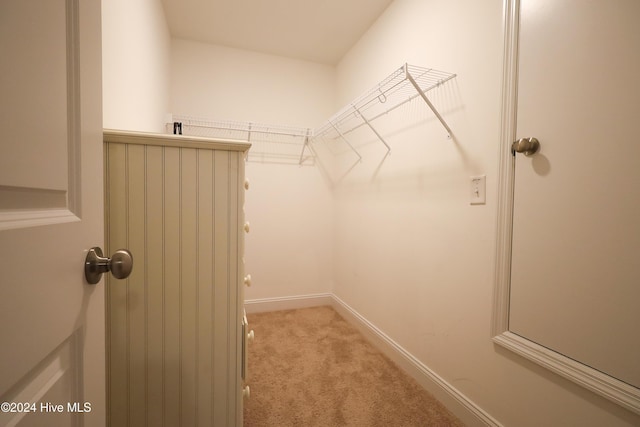 walk in closet featuring light carpet