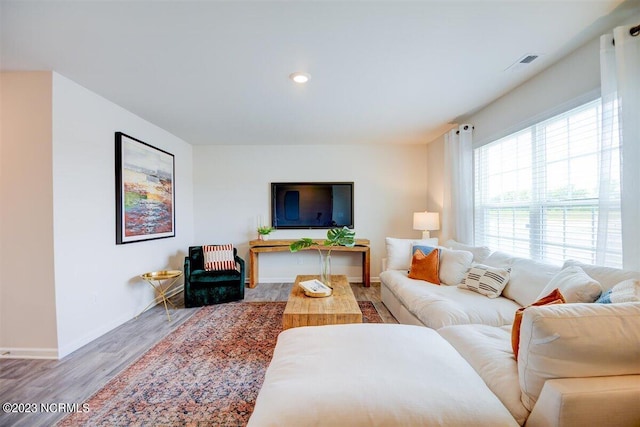 living room with hardwood / wood-style floors