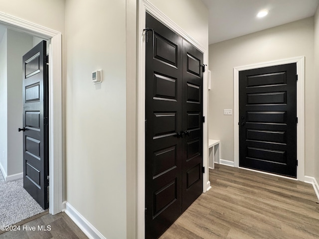 foyer entrance featuring wood-type flooring