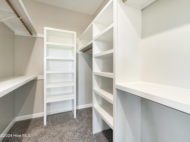 spacious closet with carpet floors