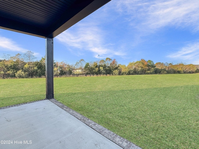 view of yard featuring a patio area