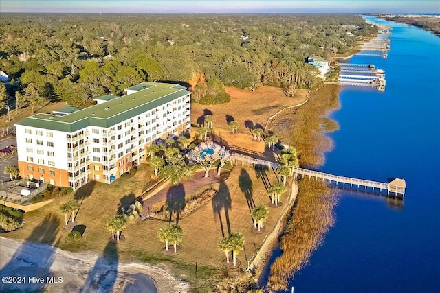 bird's eye view with a water view