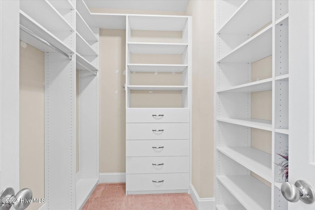 spacious closet with light carpet