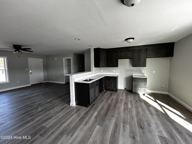 kitchen featuring ceiling fan, wood-type flooring, and a textured ceiling