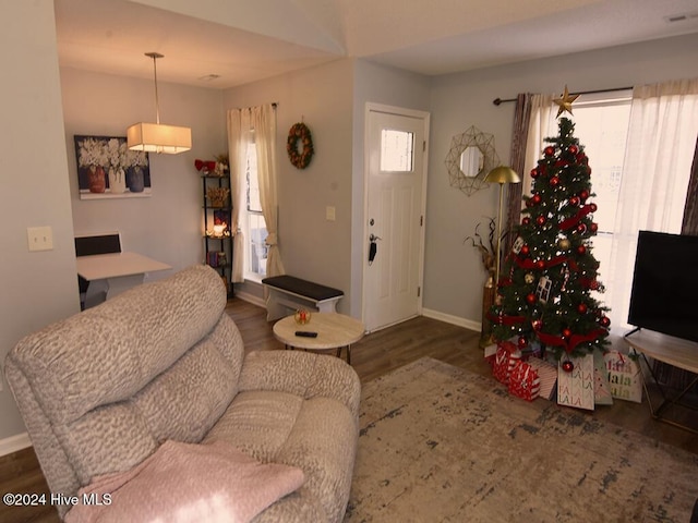 living room featuring dark wood-type flooring