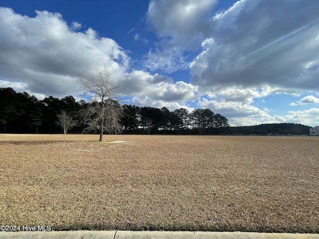 1171 Seasons End Ln Unit 76, Grimesland NC, 27837 land for sale