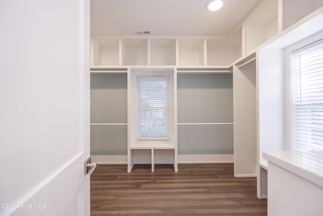 spacious closet featuring dark wood-type flooring