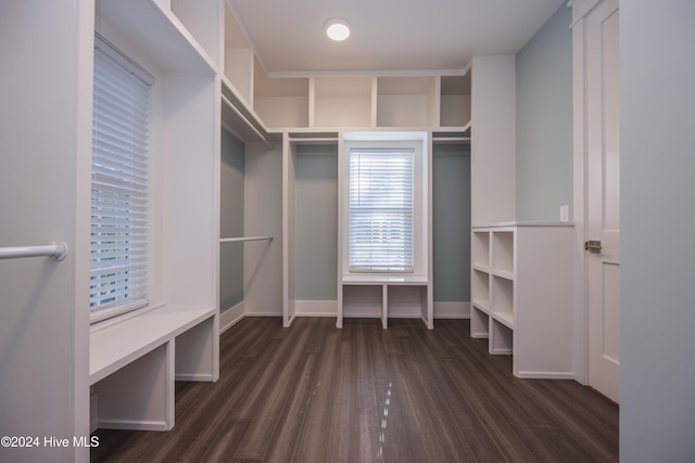 spacious closet with dark hardwood / wood-style floors