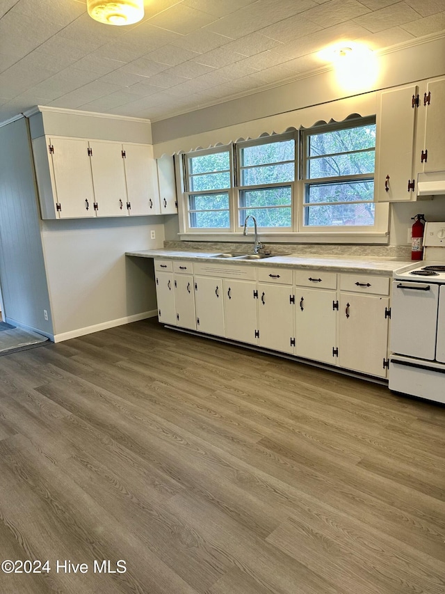 kitchen featuring sink, a wealth of natural light, white cabinets, and white electric range oven