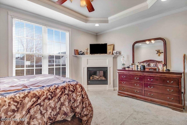 carpeted bedroom with ceiling fan, a raised ceiling, and ornamental molding