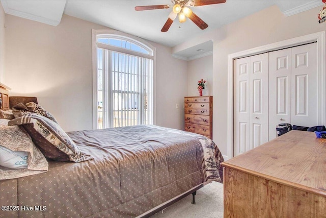 carpeted bedroom featuring ceiling fan, a closet, and ornamental molding