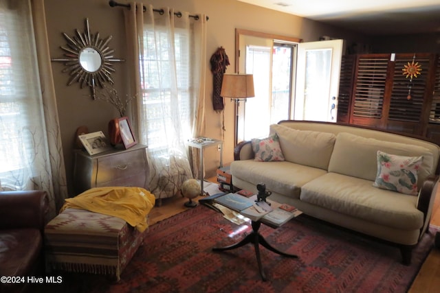 living room with wood-type flooring