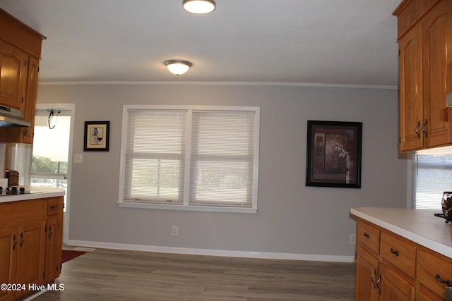 kitchen with dark hardwood / wood-style floors, a healthy amount of sunlight, crown molding, and exhaust hood