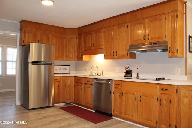 kitchen featuring crown molding, light wood-type flooring, sink, and appliances with stainless steel finishes