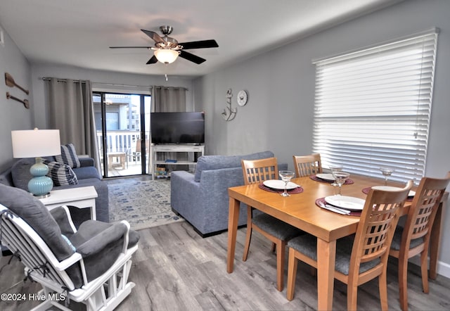 dining room with ceiling fan and hardwood / wood-style floors