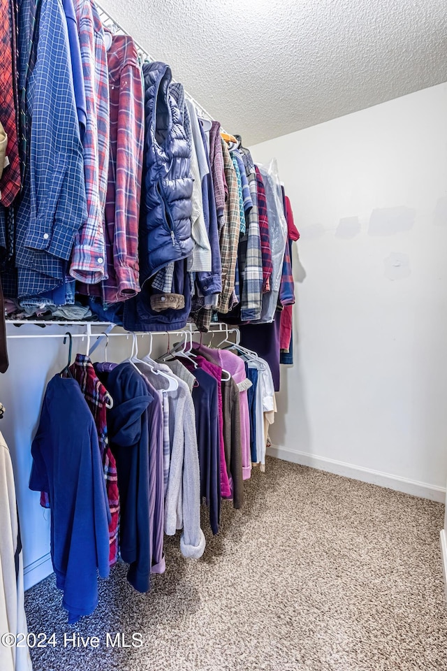 spacious closet with carpet floors