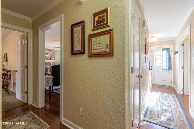 hallway featuring crown molding and dark wood-type flooring