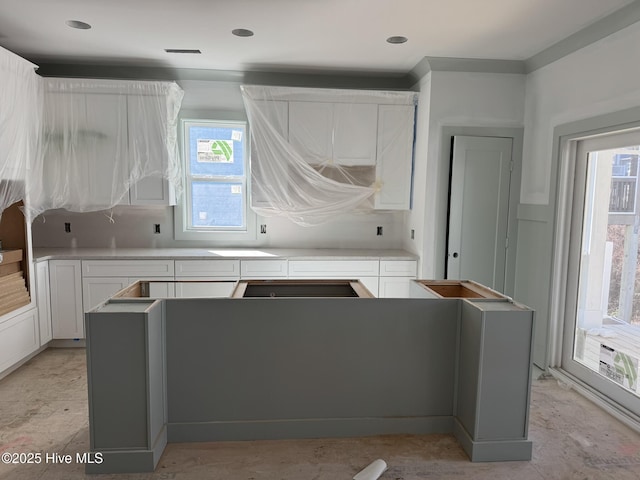 kitchen featuring light countertops and white cabinets