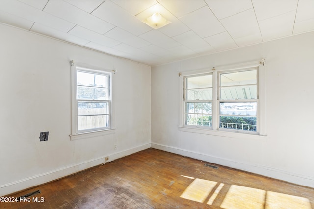 spare room with a healthy amount of sunlight and wood-type flooring