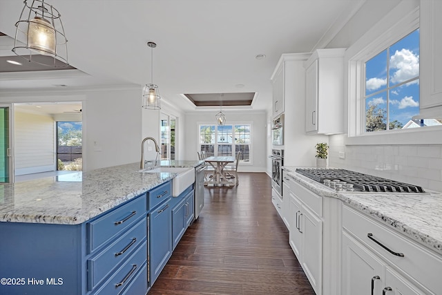 4450 Old Towne St, Wilmington, NC 28412 - kitchen with blue cabinetry, a raised ceiling, stainless steel appliances, a sink, and white cabinets