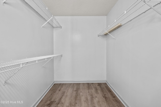 walk in closet with hardwood / wood-style floors