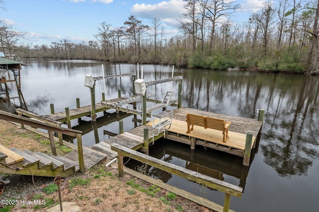 view of dock with a water view and boat lift