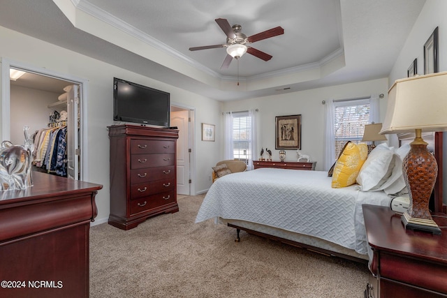 bedroom with multiple windows, a walk in closet, a tray ceiling, and ceiling fan