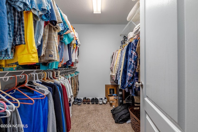 spacious closet featuring carpet flooring