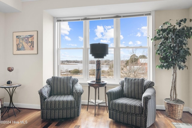 sitting room with wood-type flooring