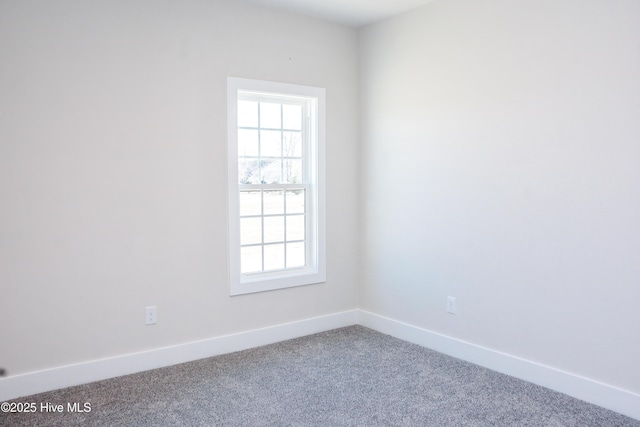 spare room featuring carpet flooring