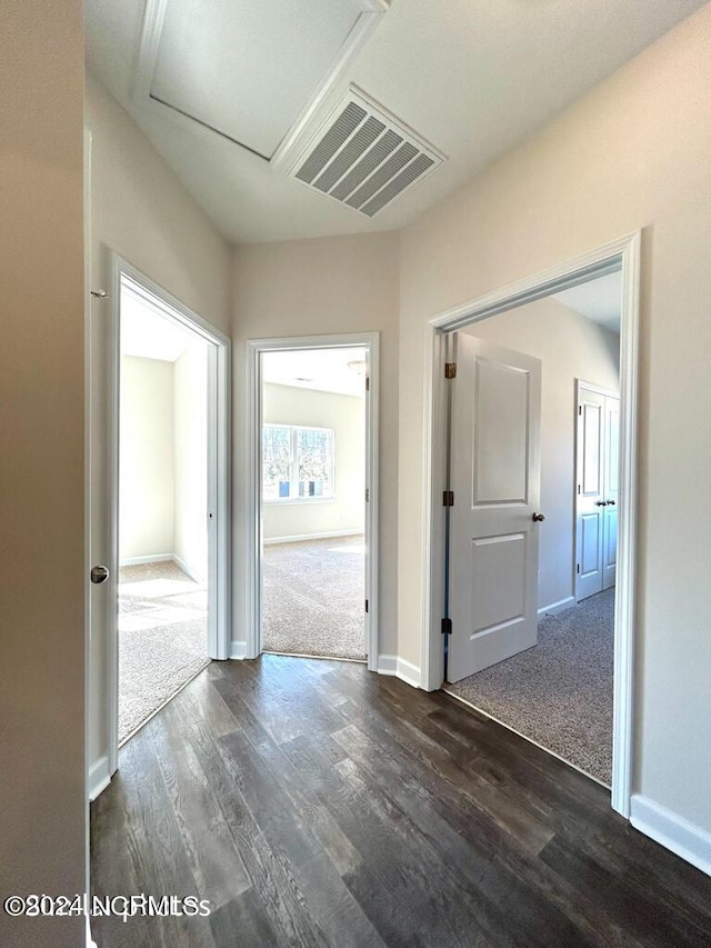 corridor featuring dark wood-type flooring