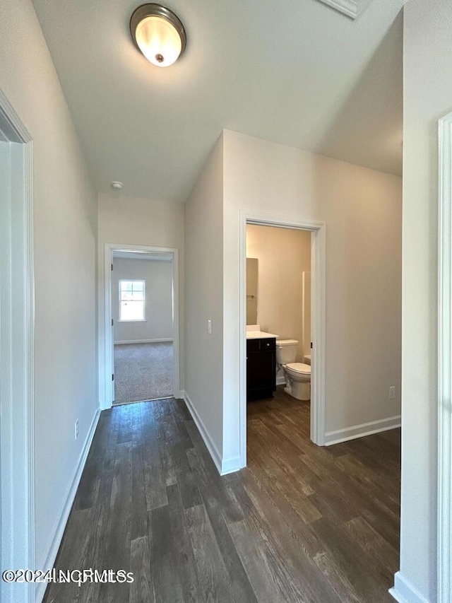 hallway featuring dark wood-type flooring