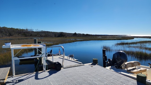 dock area with a water view