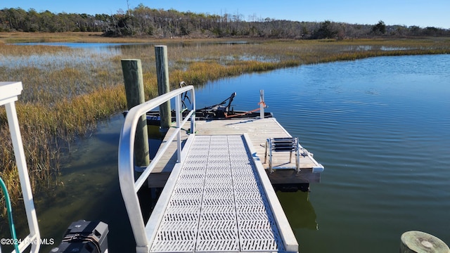 dock area with a water view