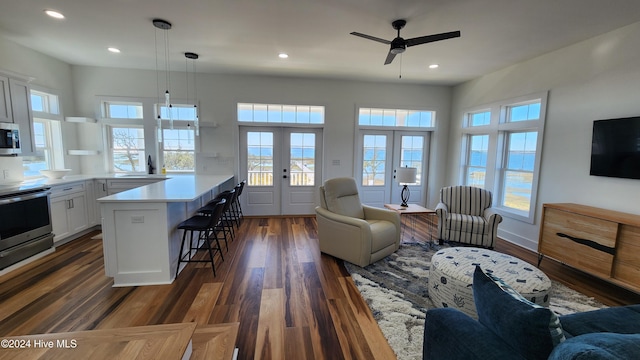 living room featuring ceiling fan, french doors, dark wood-type flooring, and sink