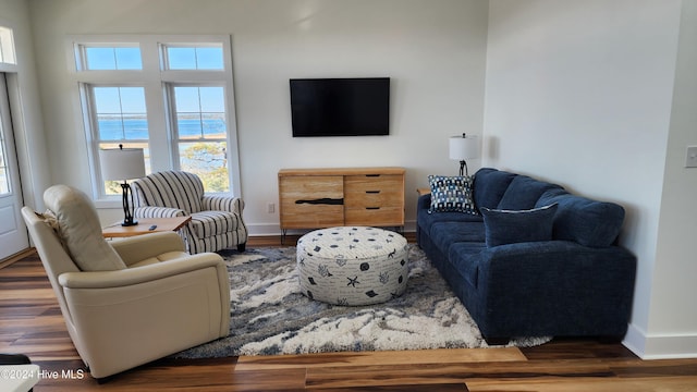 living room with dark hardwood / wood-style floors