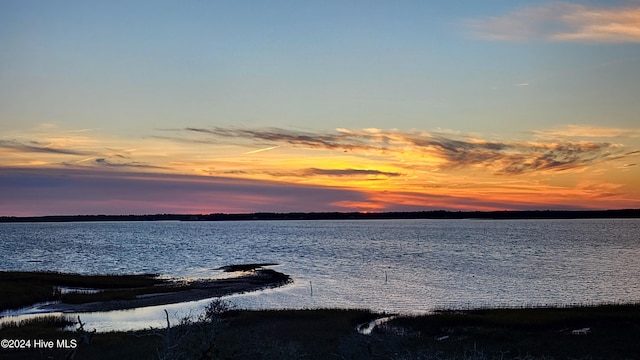 property view of water