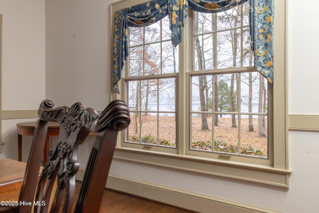 room details with a baseboard radiator and hardwood / wood-style flooring