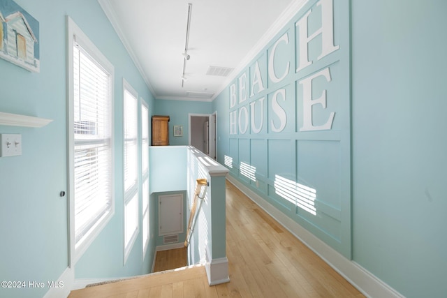 hallway with crown molding, track lighting, and light hardwood / wood-style floors