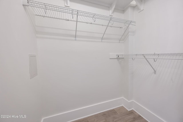 spacious closet with wood-type flooring