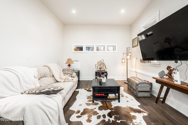 living room featuring dark hardwood / wood-style flooring