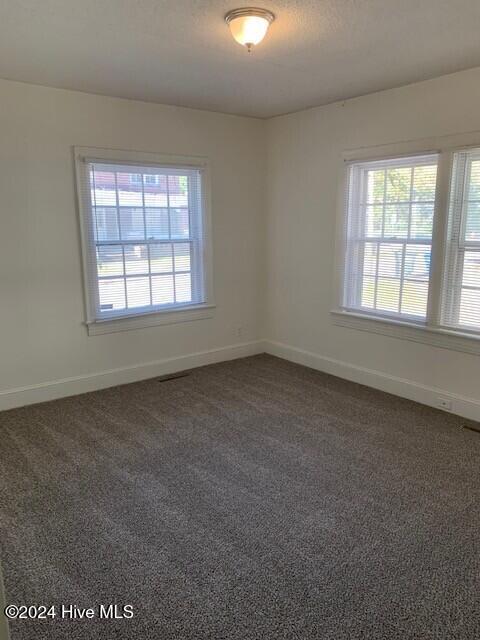 spare room featuring plenty of natural light and dark carpet