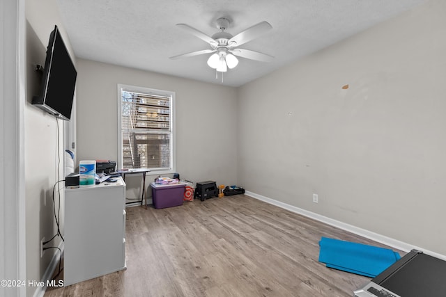 office with a textured ceiling, light hardwood / wood-style flooring, and ceiling fan