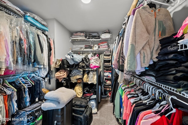 walk in closet featuring carpet