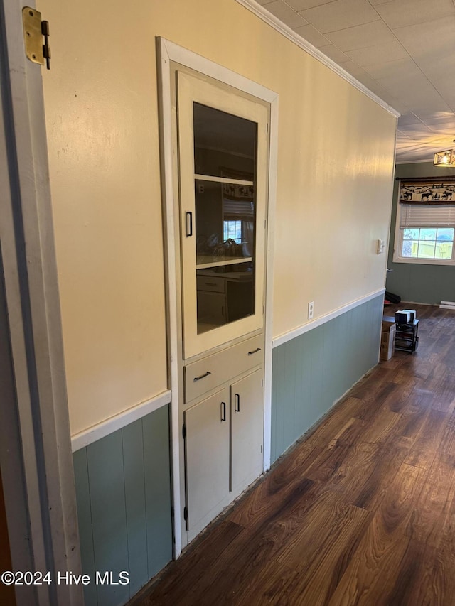 corridor with crown molding and dark wood-type flooring